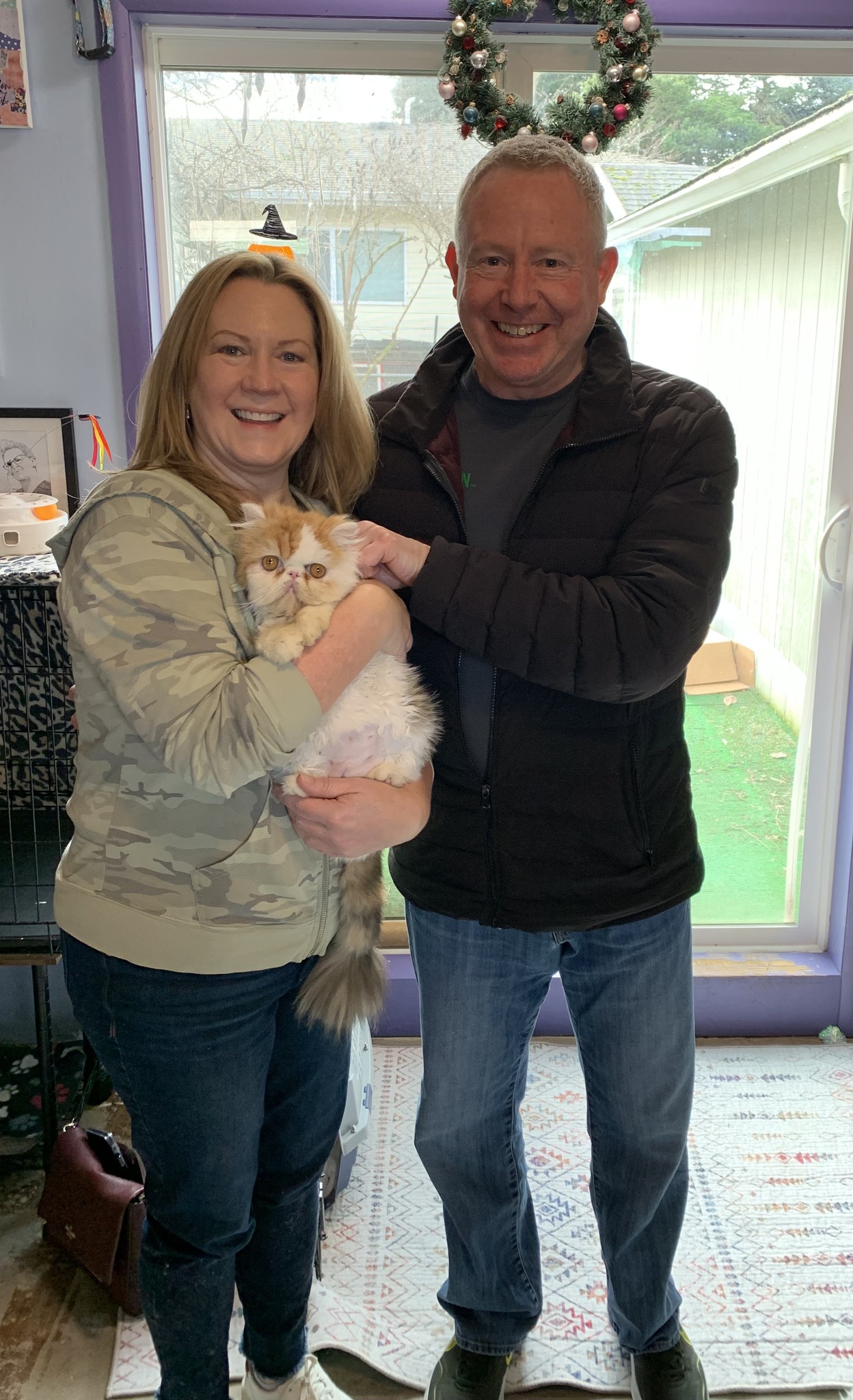 Ginger Snap is adopted!!• An Adoptable Animal from Rainbow Heart Rescue