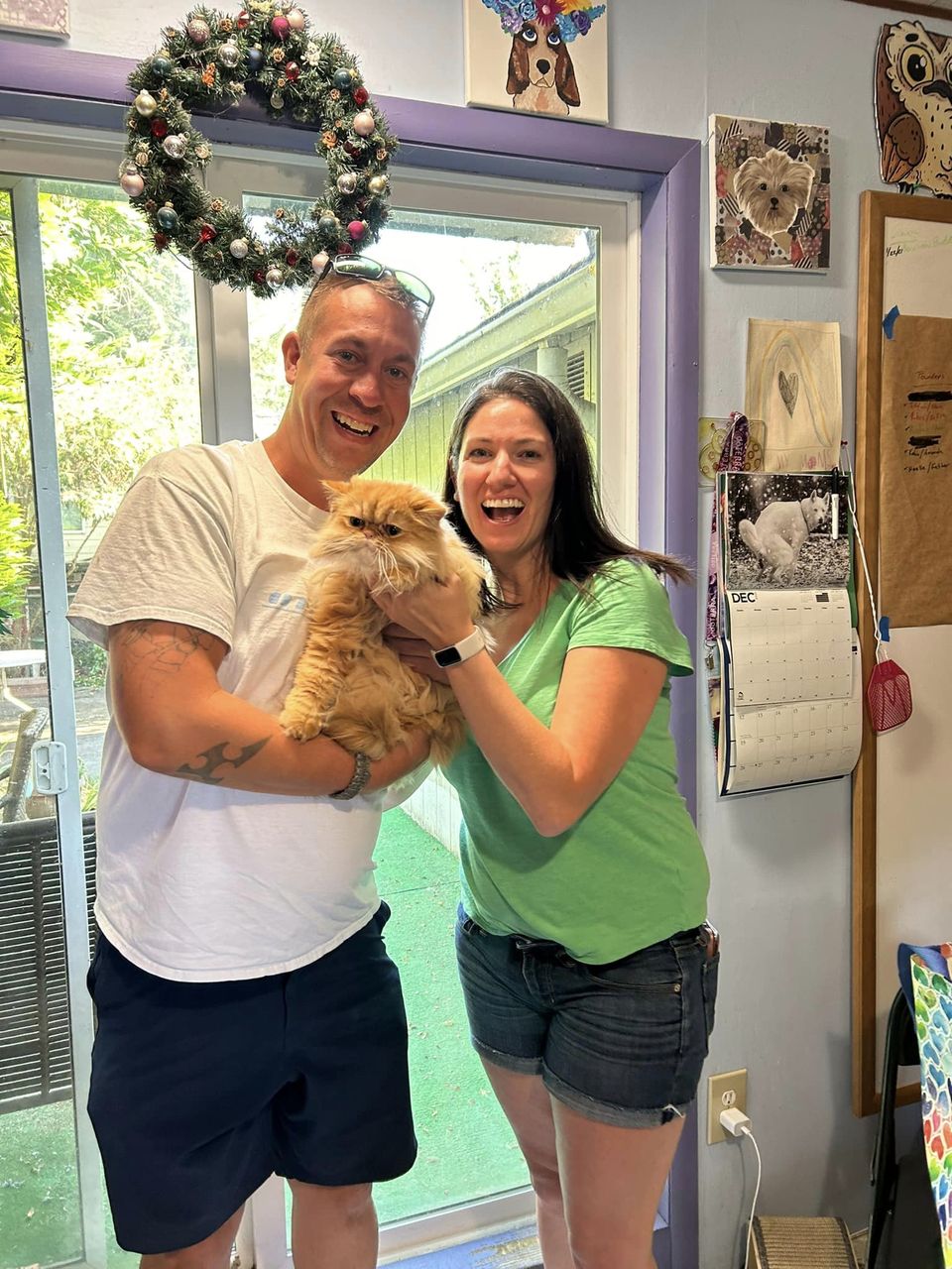 Leonidas (Leo) is adopted!!!• An Adoptable Animal from Rainbow Heart Rescue