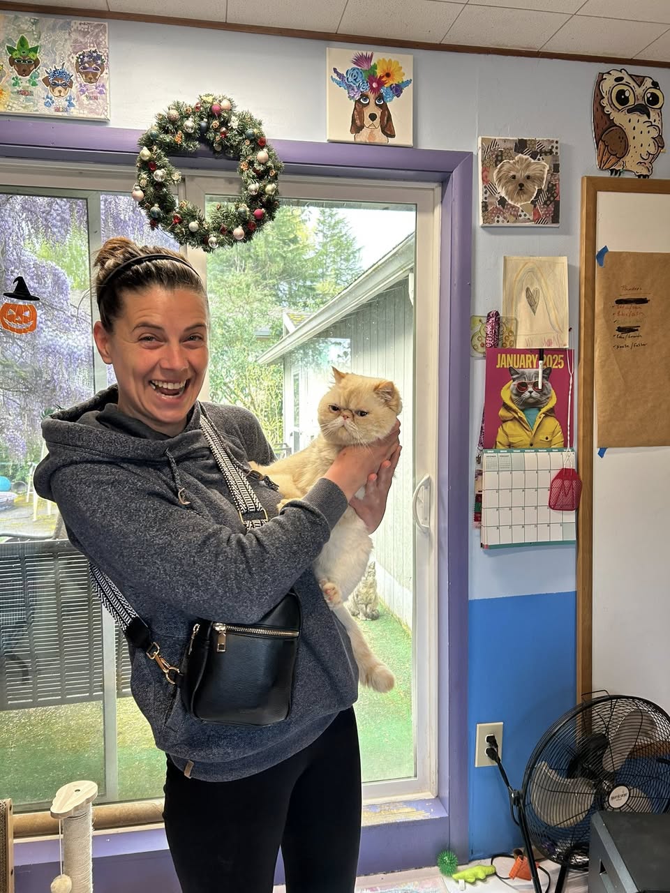 491397976_663372586427880_5195048610727456935_n Crumpet is adopted!!!• An Adoptable Animal from Rainbow Heart Rescue